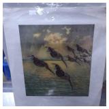 Print Titled ï¿½Scaup or Broad-Billï¿½ Featuring Water