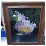 Photographic Print of Water Lily by ML Grauel, Art