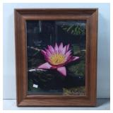 Framed Floral Photograph Featuring a Pink Water Li