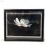 Framed Photograph ï¿½Continuanceï¿½ by M.L. Graul