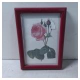 Framed Botanical Print of a Rose in Red Wooden Fra