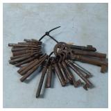 22 Iron Skeleton Keys of Varying Sizes on Metal Lo