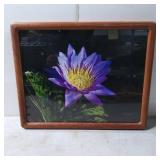Framed Floral Artwork Featuring Purple Water Lily