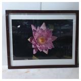Framed Botanical Artwork Featuring Pink Lotus Flow