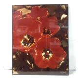 Framed Photograph Print of Red Flowers with Artist