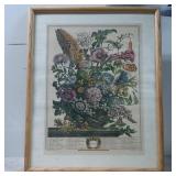 Framed Botanical Print August Depicting Flor