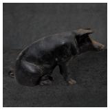 Cast Iron Pig Piggy Bank, 12 Inches Long