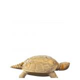 Cast Metal Tortoise-Shaped Container with Hinged S