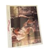 Framed ï¿½The Sound of Musicï¿½ Movie Poster with Cons