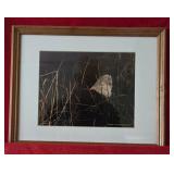 Fallen Cottonwood Leaf