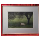 In the Orchard Green