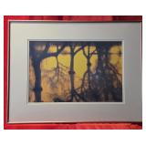 Flood Plain Reflections