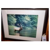 Wildlife wall dï¿½cor