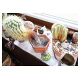 Plants, antique bench, & more