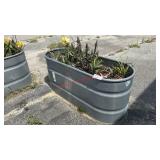 GALVANIZED PLANTER W/ CALLA LILLIES