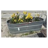 GALVANIZED PLANTER W/ CALLA LILLIES