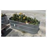 GALVANIZED PLANTER W/ CALLA LILLIES