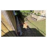 LOT - TREATED 2X4 LUMBER