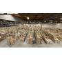 Abandoned Property - Corona Distribution Center : Day 1