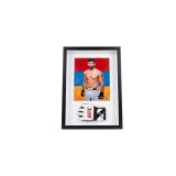 Framed Sports Memorabilia - UFC (Arman Tsarukyan)