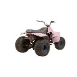 Suzuki QuadRunner LT125 All-Terrain Vehicle