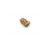 Natural Gold Nugget Specimen Nome, AK 0.7 Grams