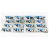 (16) Wyoming License Plate Lot Devils Tower