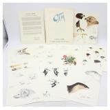 Olaus Murie Naturalist's Portfolio Field Sketches