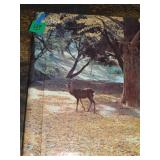 Old Black & White Photos & Carlsbad Caverns