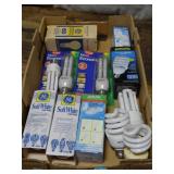 Flat of Light Bulbs