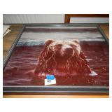 Framed Picture of Bear