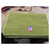 6ct Green Cloth Placemats
