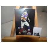 Adrian Peterson Minnesota Vikings