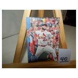 St. Louis Cardinals Junior Fernandez