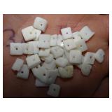 Shell Beads
