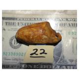 Fossilized Ivory Tooth w/ Hole For Pendant Wear