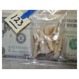 8ct Teeth Buffalo???