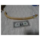 Old Cow Rib Bone From The Desert