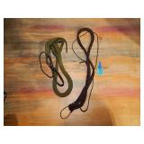 Two Bore Snakes