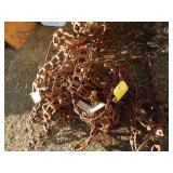 Manure Spreader Chains