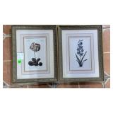 Framed Wall Decors