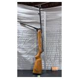 Tested unmarked pellet gun