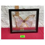 Made in Peru Art by God Framed Butterfly