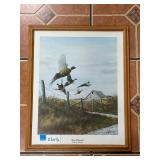 Framed Print by Larry Anderson