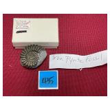 Antique Iron Pyrite Fossil