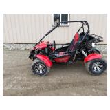 Apollo Venture 200EFI Go kart