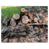 Several Stacks of Cut Firewood