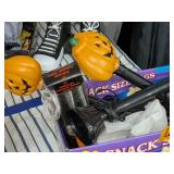 Treat Pumpkins and Lights
