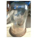 15" Glass Dome with Wood Base
