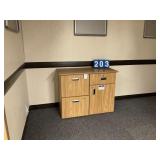 CABINET/ FILING DRAWERS